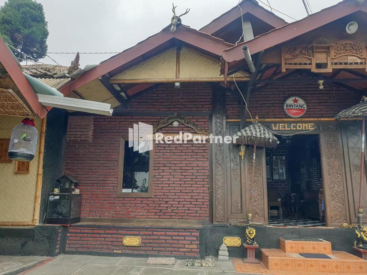Hotel Yoschi'S Bromo At Desa Wisata Bromo Ngadisari 외부 사진