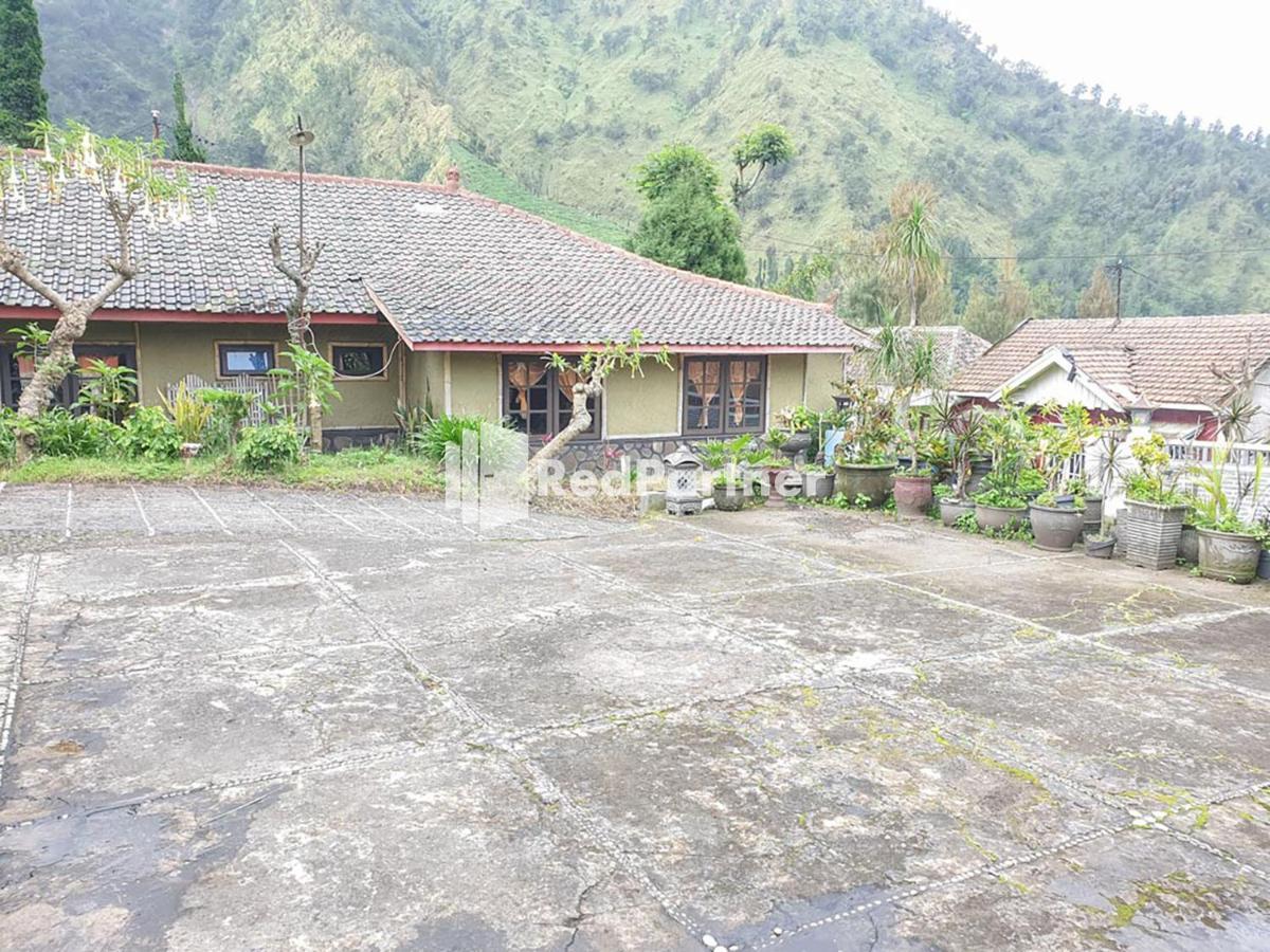 Hotel Yoschi'S Bromo At Desa Wisata Bromo Ngadisari 외부 사진