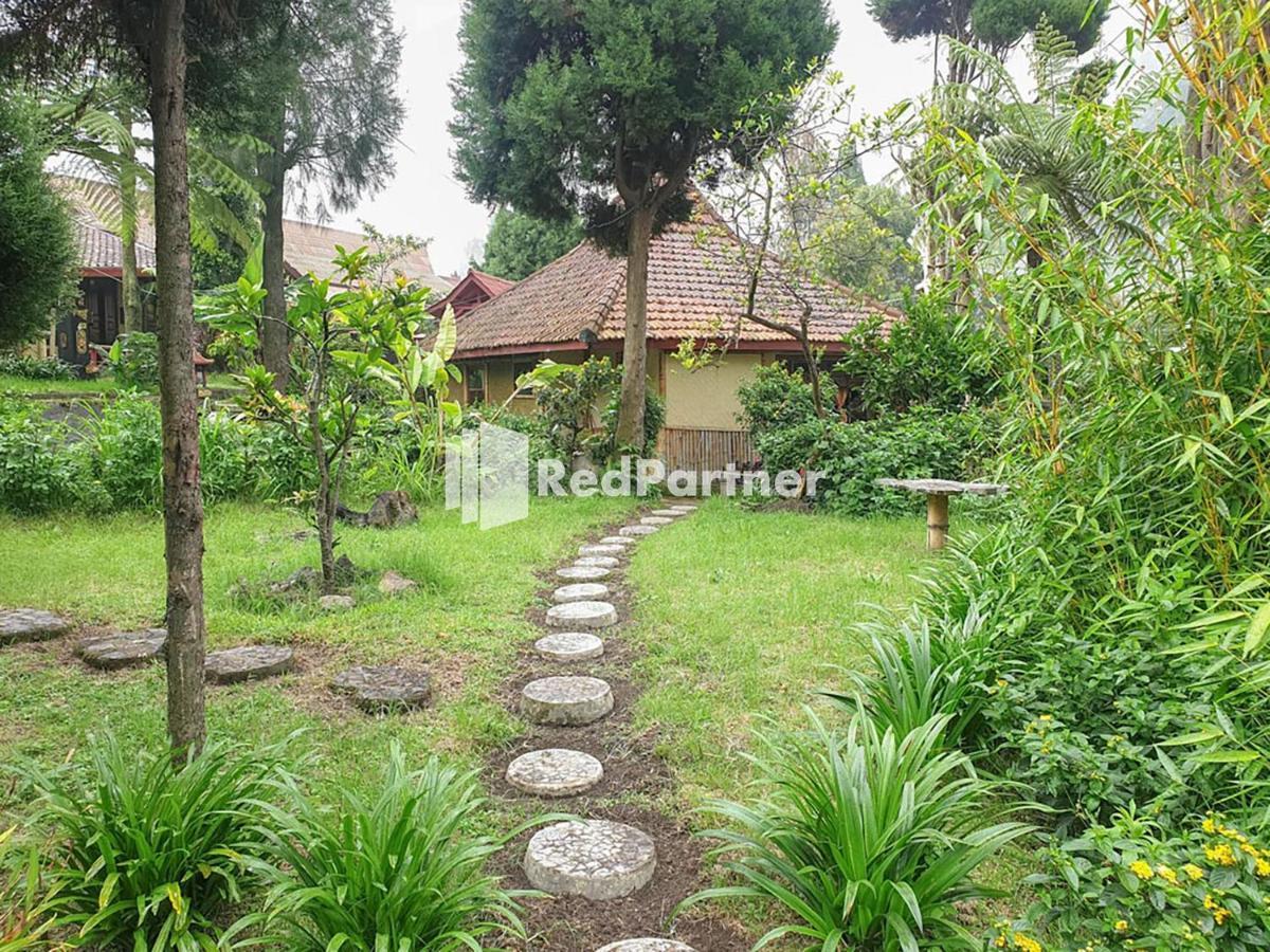 Hotel Yoschi'S Bromo At Desa Wisata Bromo Ngadisari 외부 사진
